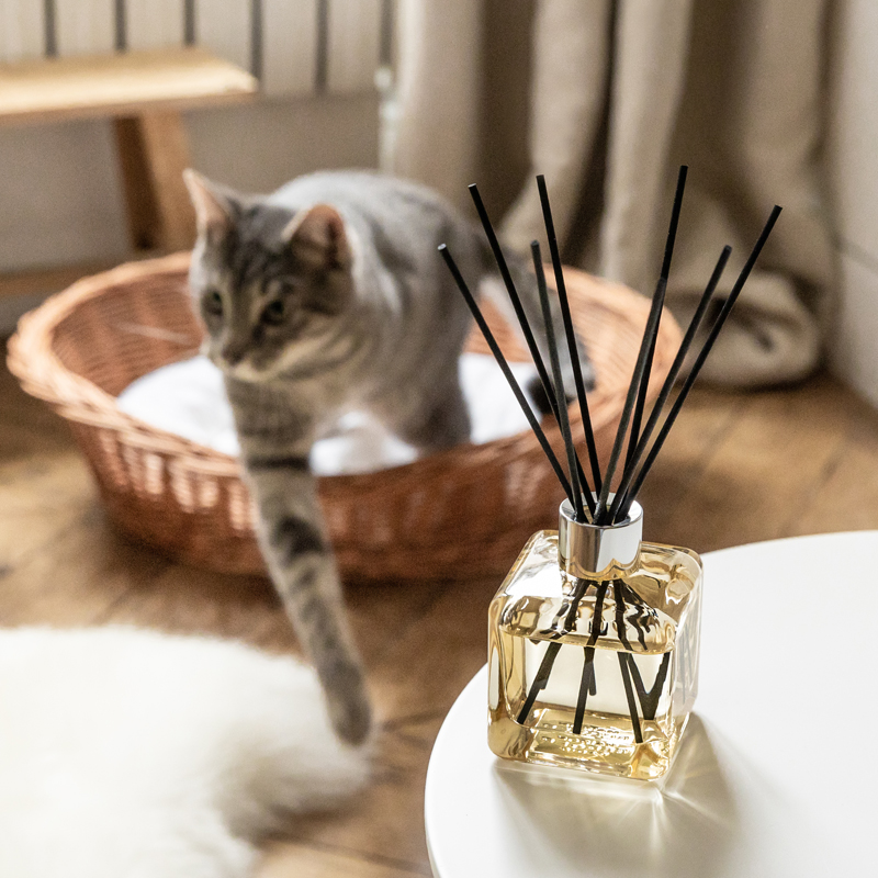 Maison Berger Duftbouquet Mein Zuhause ohne Tiergerüche