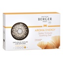 Maison Berger Auto Diffusor Set Aroma Energy